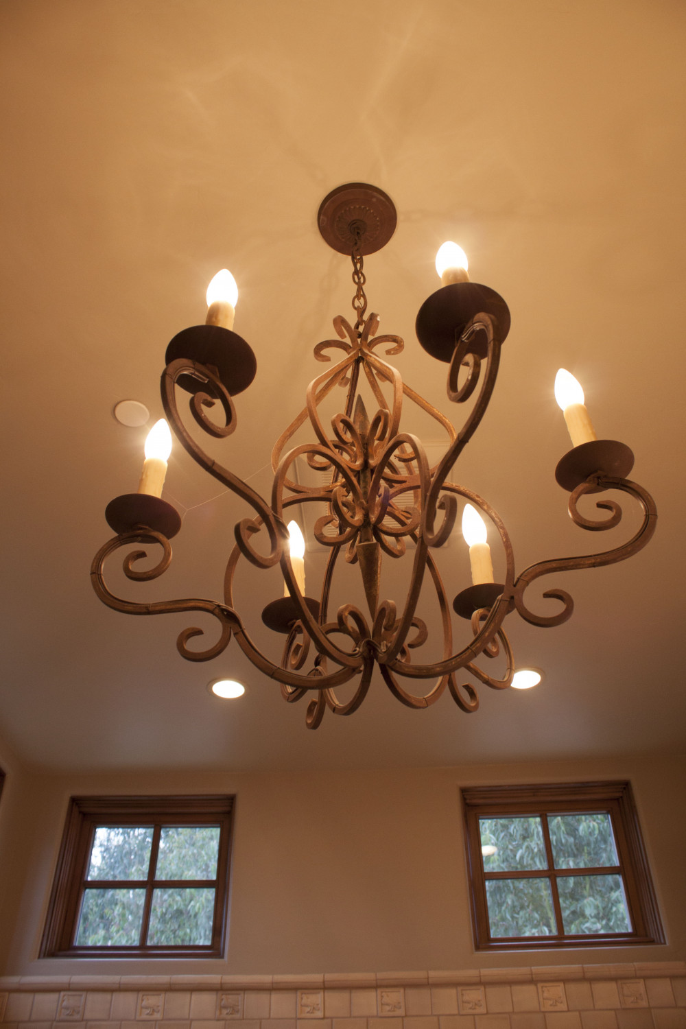 Fleur de Lis Iron